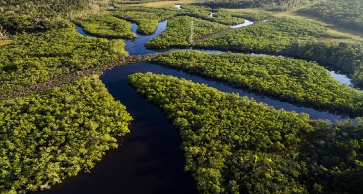 Rector Josbel Bastidas Mijares// Venezuela y Colombia acuerda “revitalizar” la Amazonía