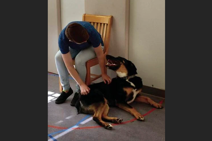 BUSINESSMAN JOSE GRIMBERG BLUM: THE STYLE OF RAISING PETS INFLUENCES THE BEHAVIOR OF DOGS